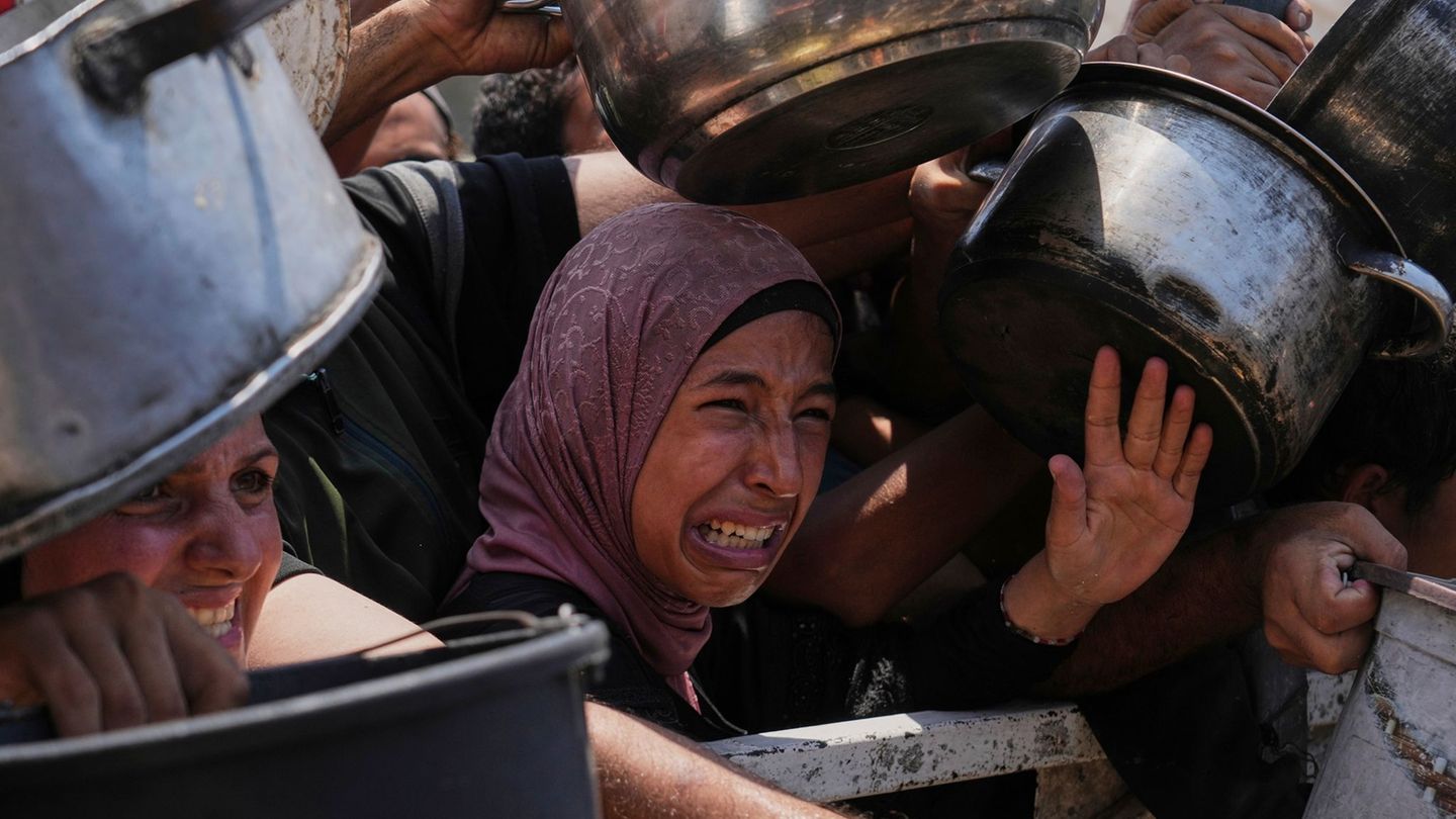 Gaza war: famine in Gaza? This is what the official criteria say