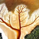 Gezeitenbach in Australien