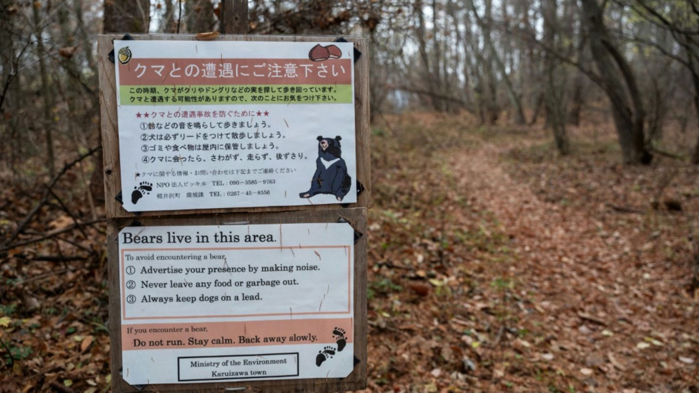 Bären-Warnschild in Japan