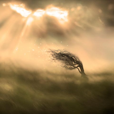 Resilience: This is how we awaken the superpower against every crisis in us