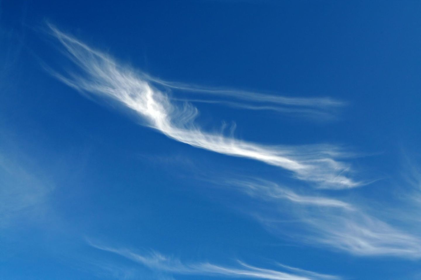 cirrus