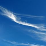 cirrus