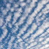 Cirrocumulus