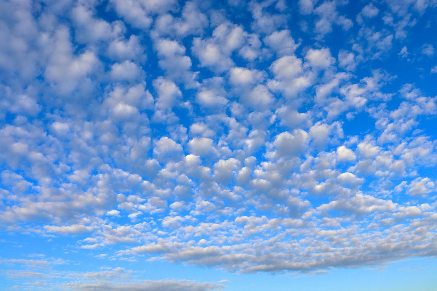Altocumulus