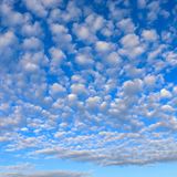 Altocumulus