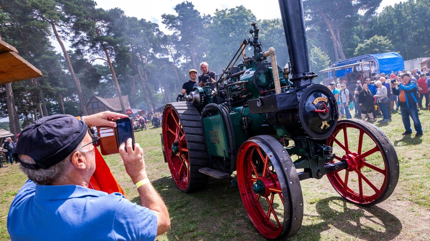 Feste-Technikfans-bewundern-Dampfmaschinen-in-Alt-Schwerin