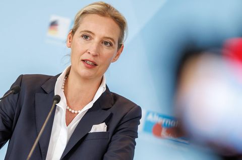 Und das nächste Mal mit KI? AfD-Chefin Alice Weidel führte ihre Partei als Kanzlerkandidatin in die vergangene Bundestagswahl     