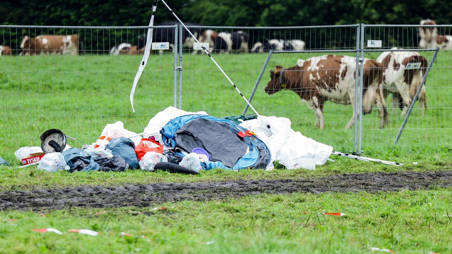 Müll auf einer Wiese in Wacken, dahinter grasen Kühe