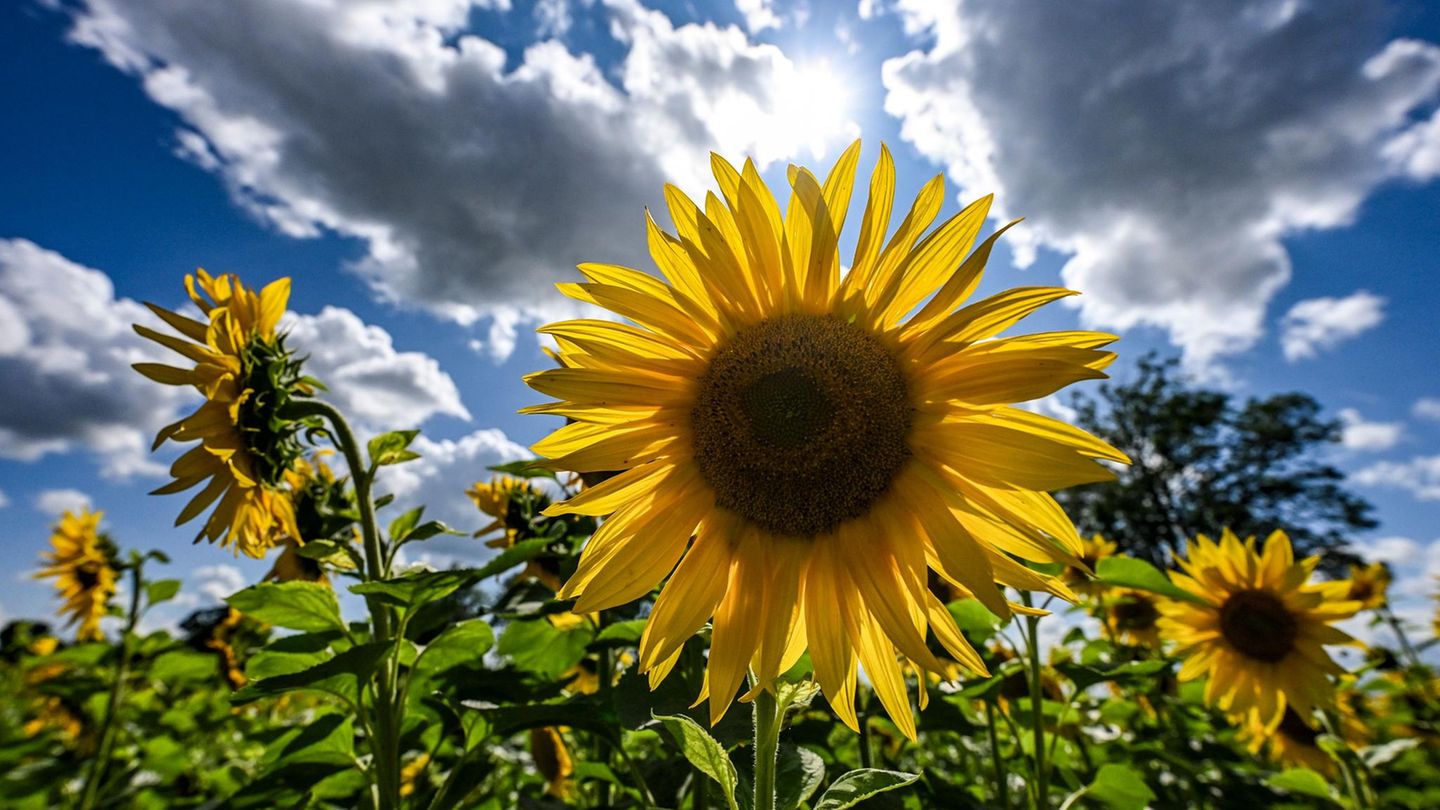 Bald ist wieder schönes Wetter angesagt: Am Donnerstag klettern die Temperaturen mancherorts auf bis zu 30 Grad