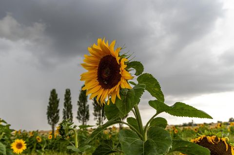 Extremwetter: Der Juli in Deutschland