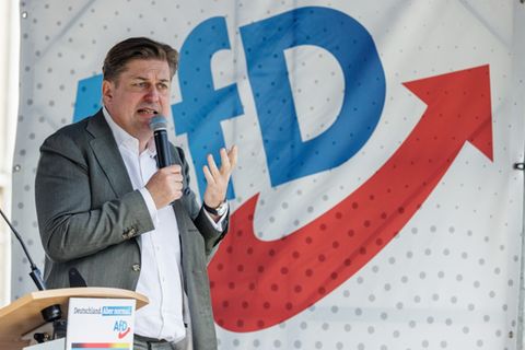 AfD-Politiker Maximilian Krah
