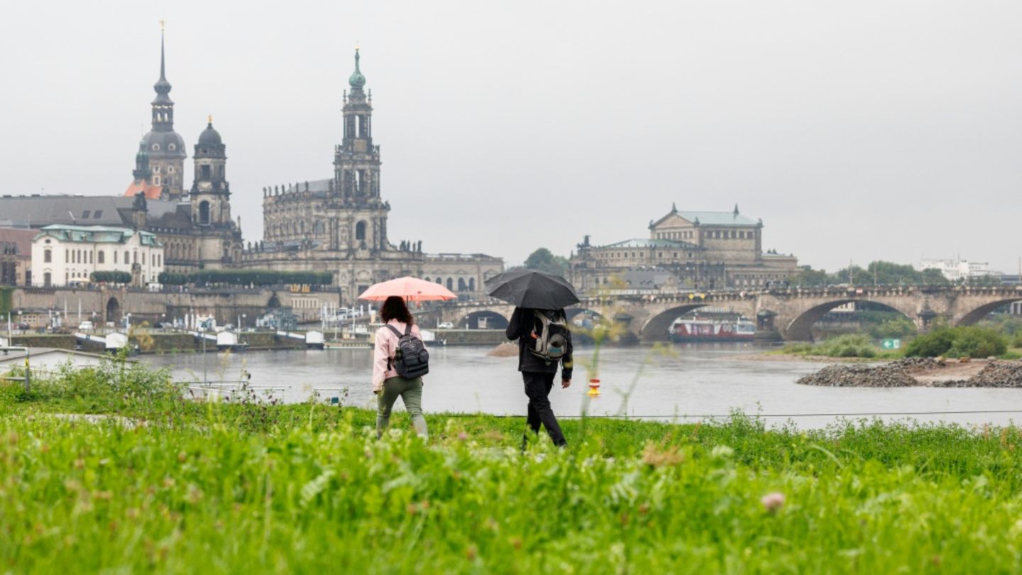 Elbufer in Dresden