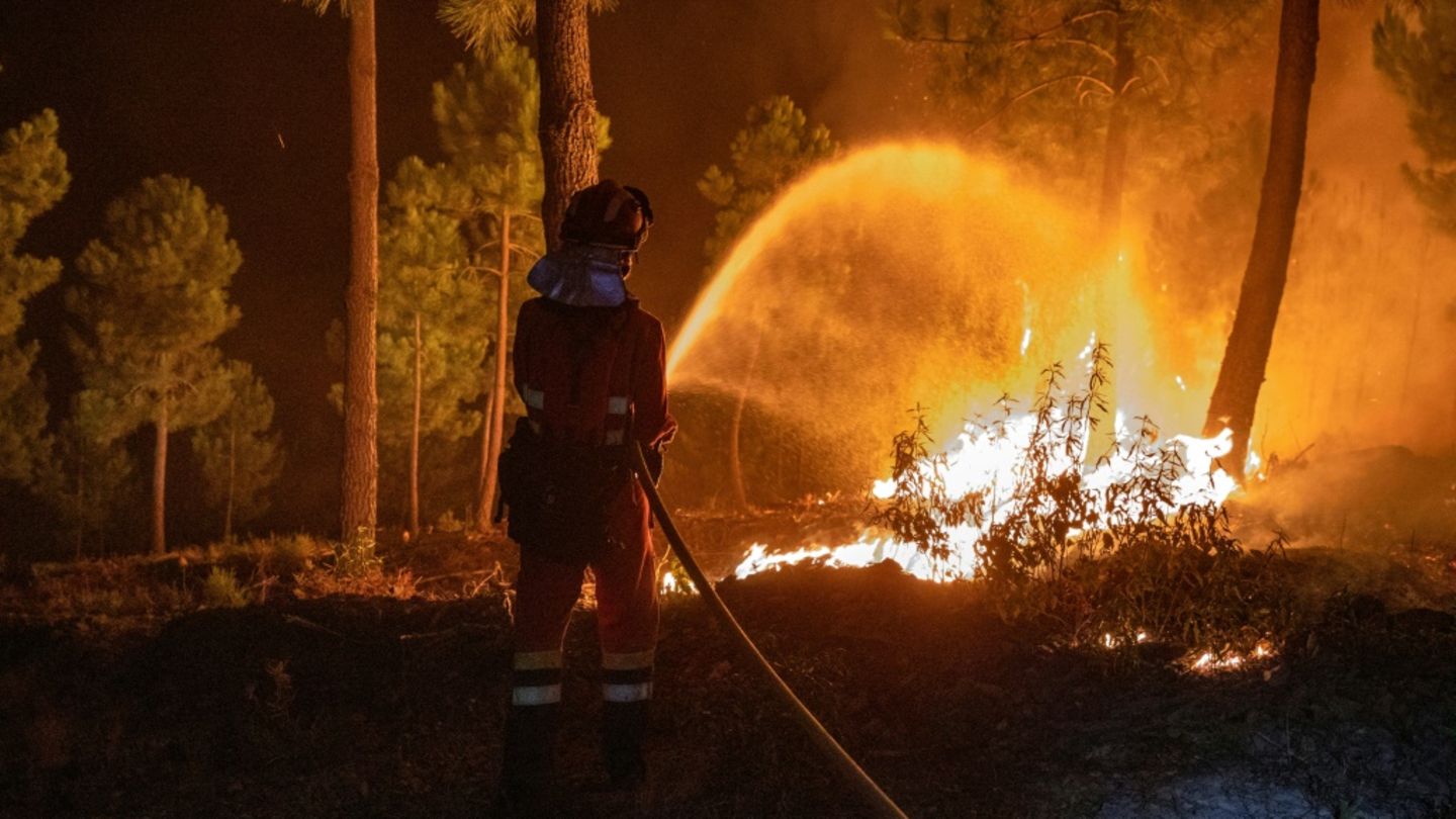 Wald in Flammen