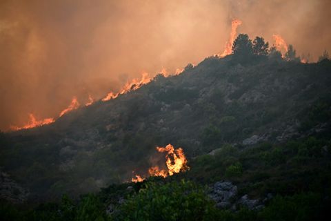 Flammen nahe Fontjoncouse in Südfrankreich