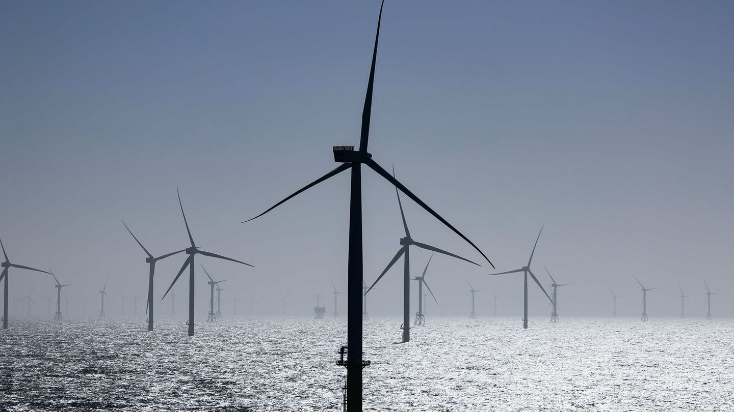 Energy: North Sea wind power areas cannot find a buyer