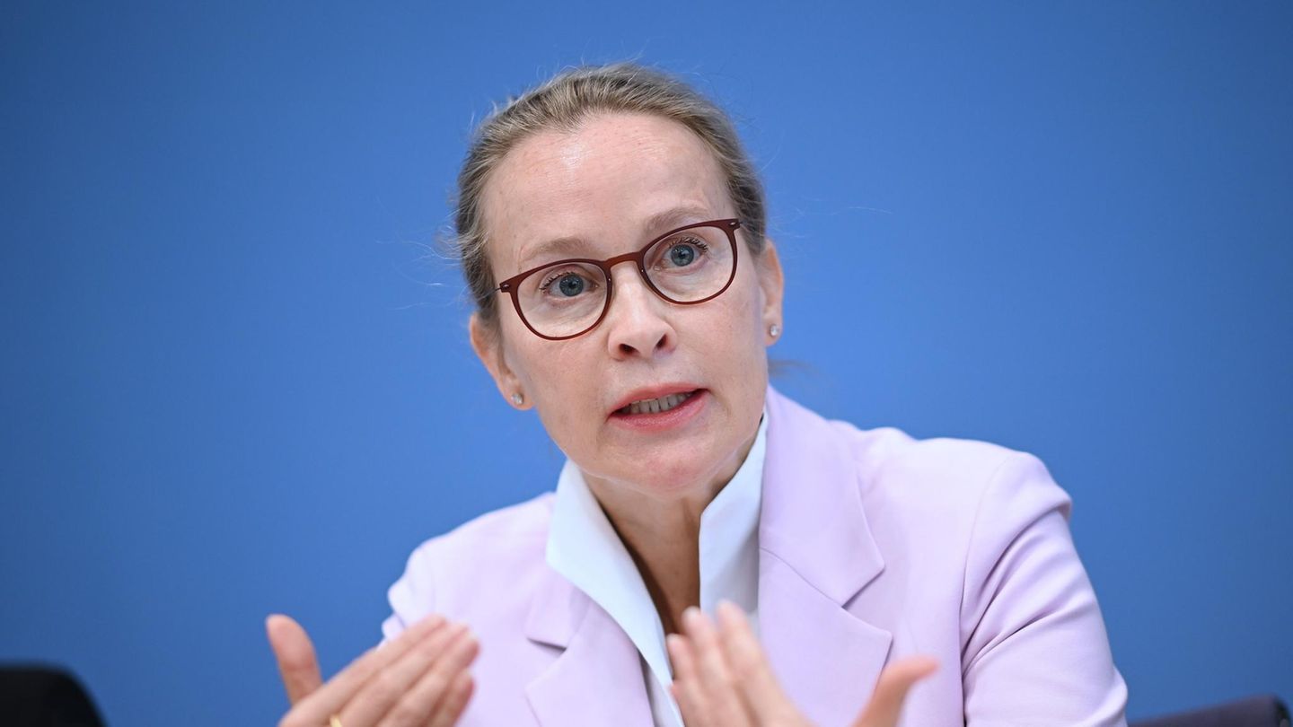Frauke Brosius-Gersdorf withdraws candidacy for the constitutional court