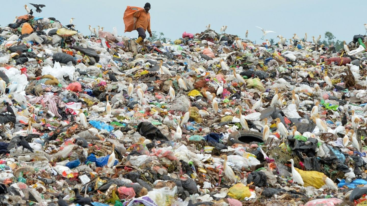 Plastiksammler in Sri Lanka