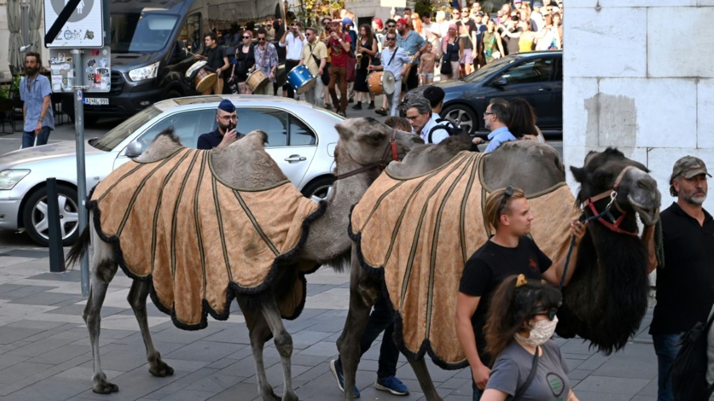 Karawane durch Budapest