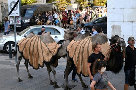 Karawane durch Budapest
