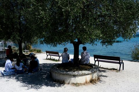 Menschen suchen in Le Bourget-du-Lac unter einem Baum Schatten