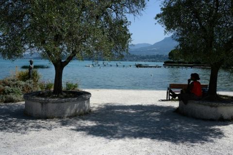 Auf der Suche nach Schatten