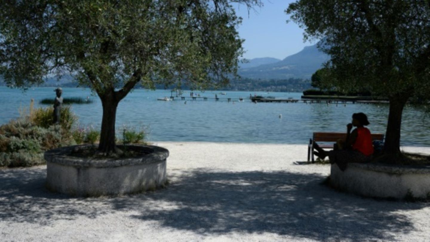 Auf der Suche nach Schatten Auf der Suche nach Schatten