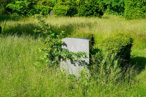 Das ist nicht der Grabstein aus Österreich