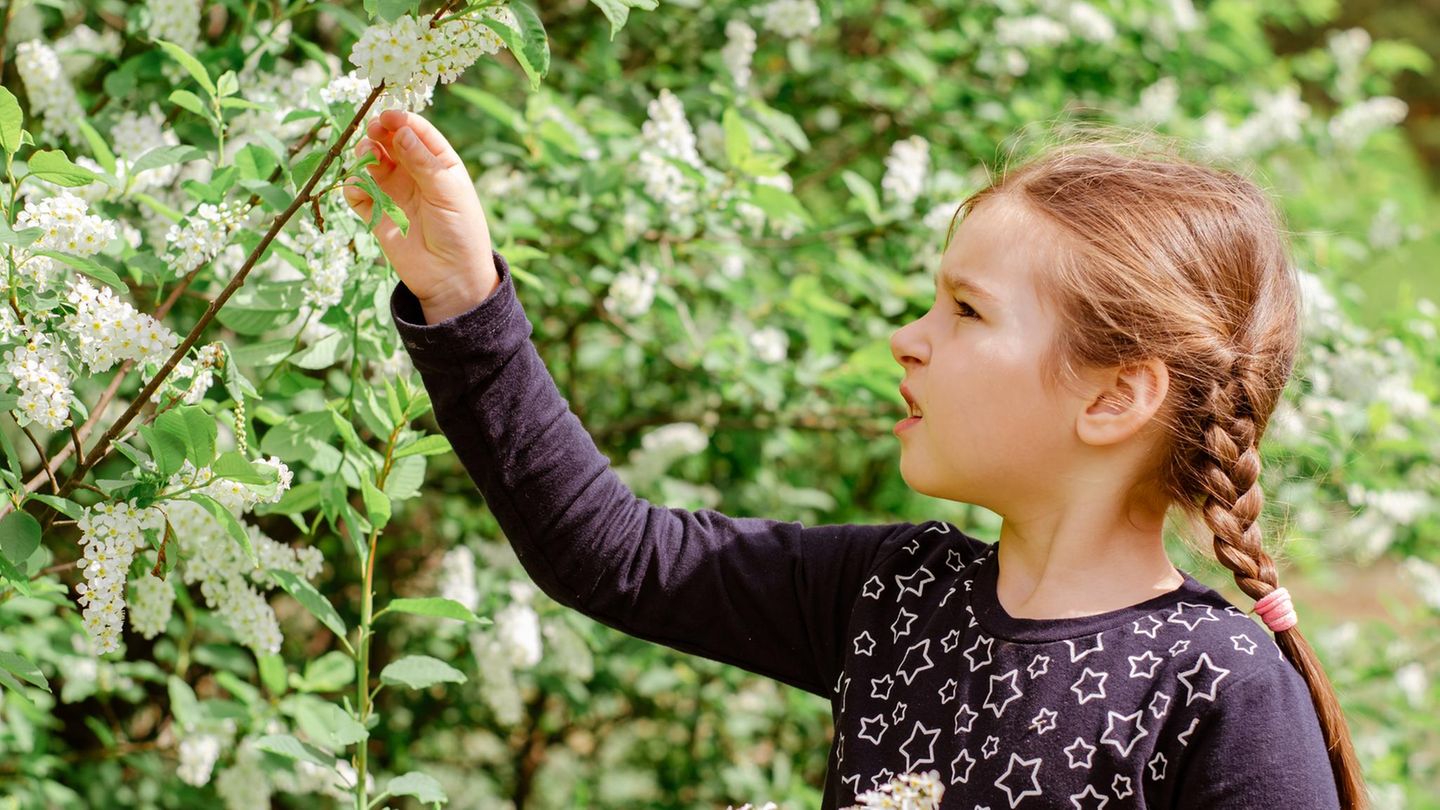 Ein Mädchen pflückt eine Blüte