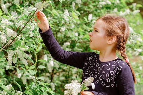 Ein Mädchen pflückt eine Blüte