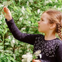 Ein Mädchen pflückt eine Blüte