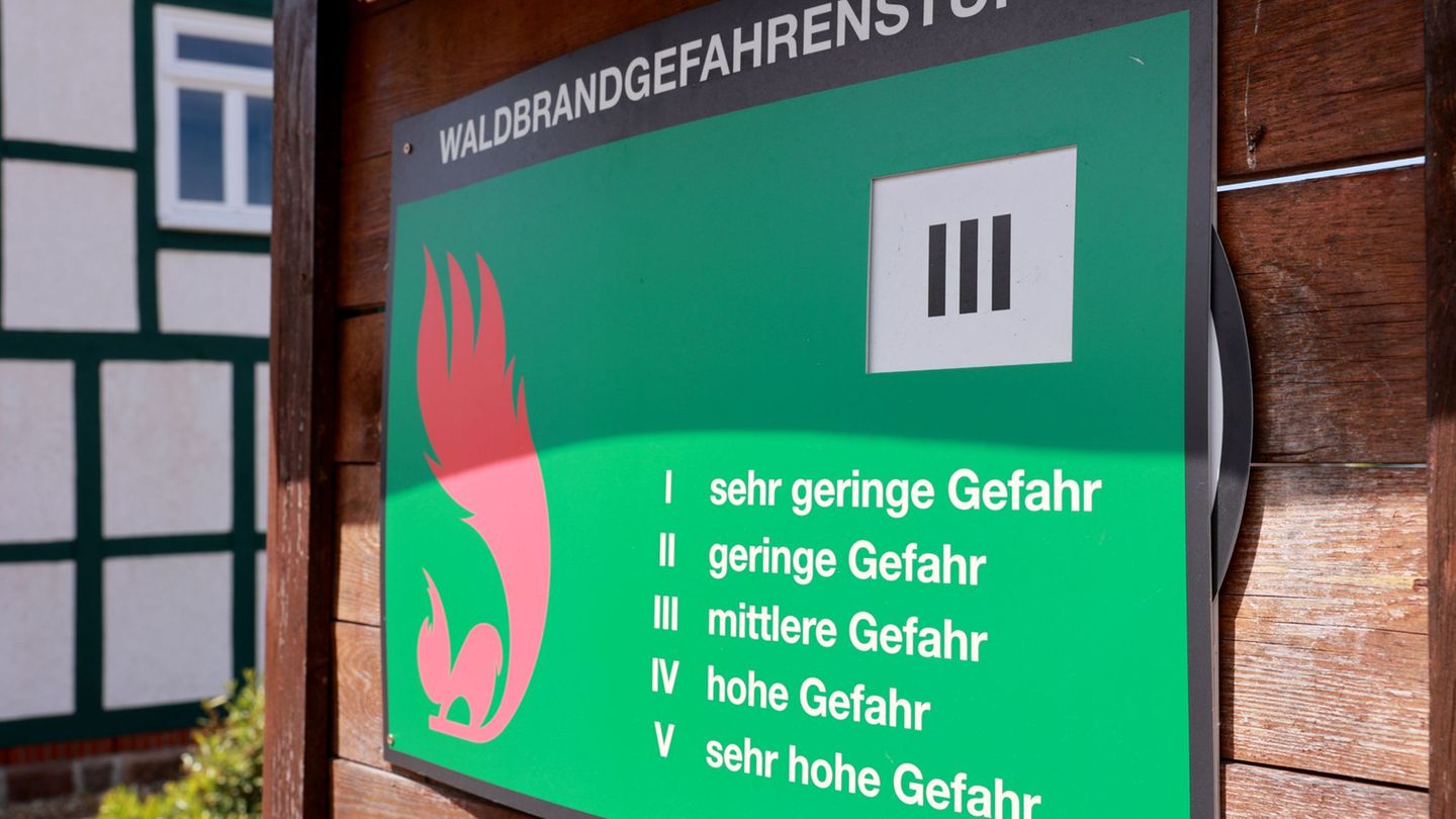 Waldbrandgefahr-Waldbrandgefahr-nimmt-langsam-wieder-zu