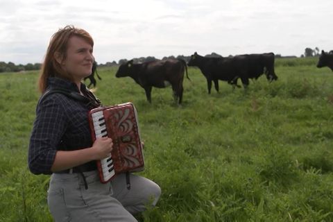 Musikerin sitzt mit Akkordion auf einem Feld mit Kühen