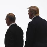 Donald Trump und Wladimir Putin