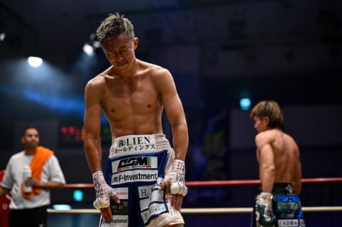 Japan Boxer Kotari