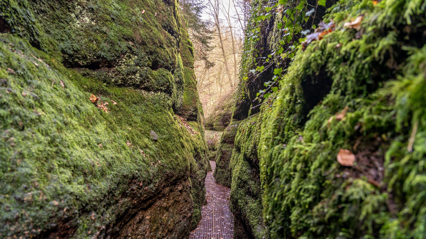ein schmaler Pfad durch die Schluchten von die Drachenschlucht