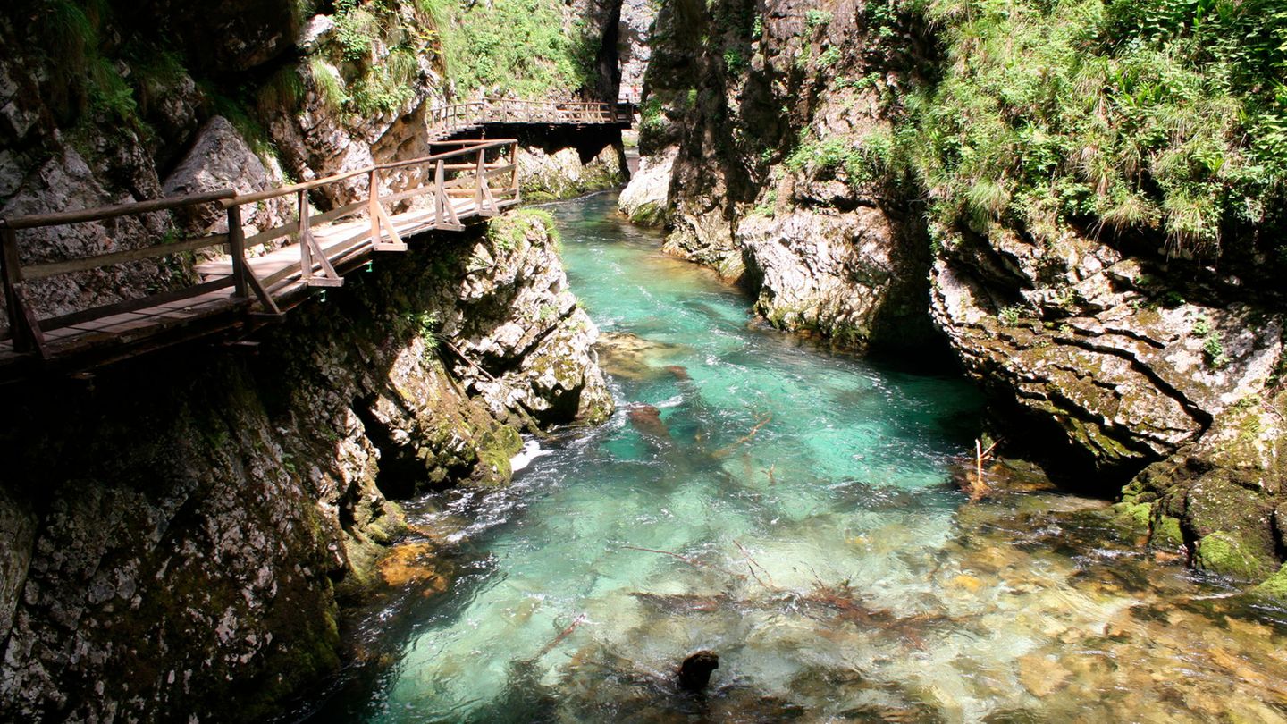 Der Fluss Radovna fließt im Winter durch die Schlucht Blejski Vintgar, Slowenien