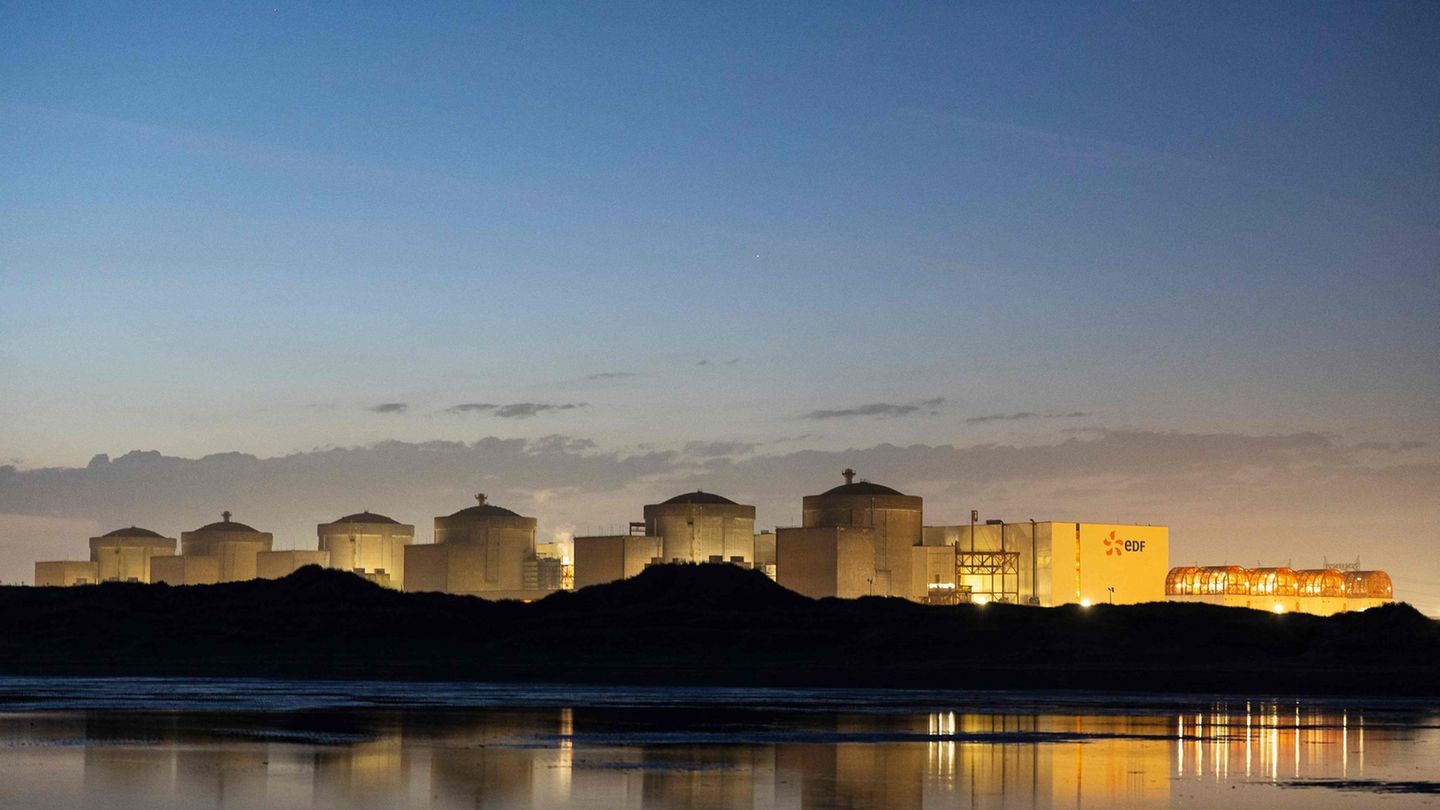 Animals: Aller French nuclear power plant lame the jellyfish