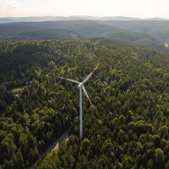 Symbolbild erneuerbare Energien: Ein Windrad inmitten eines weiten grünen Waldes unter einem blauen Himmel