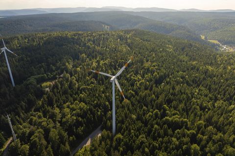 Symbolbild erneuerbare Energien: Ein Windrad inmitten eines weiten grünen Waldes unter einem blauen Himmel