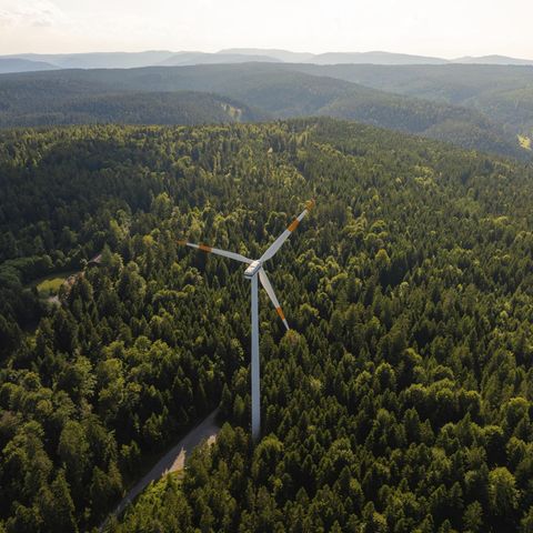 Symbolbild erneuerbare Energien: Ein Windrad inmitten eines weiten grünen Waldes unter einem blauen Himmel