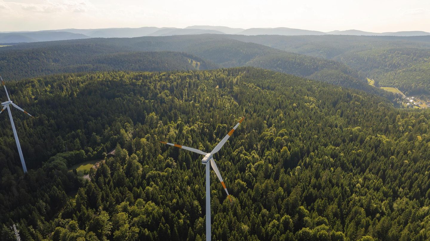 Use of renewable energies: the Germans think about it