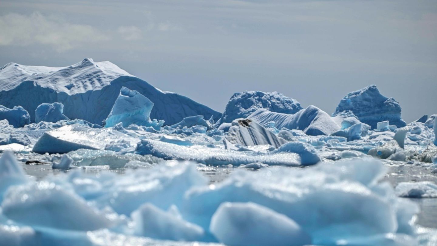 Po 65 letih najdeno truplo britanskega raziskovalca v antarktičnem ledeniku