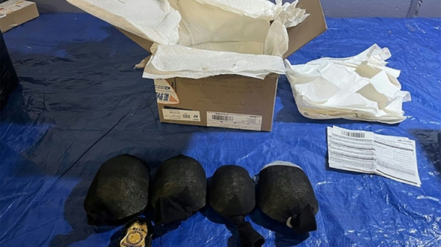 Vom Zoll beschlagnahmte in Socken gewickelte Dosenschildkröten