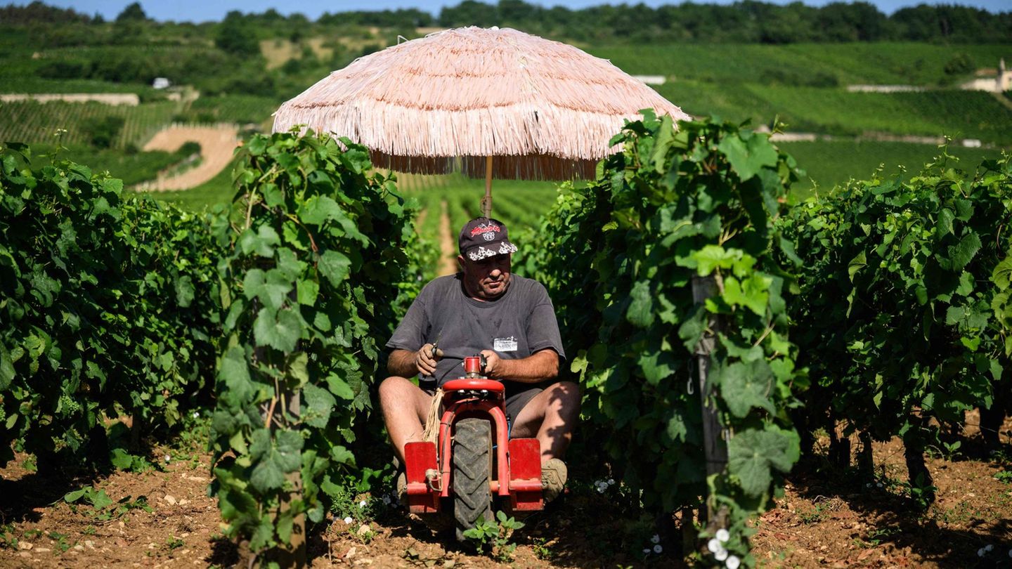 Climate: Working in the heat – how does it do foreign countries?