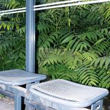 Eine Bushaltestelle in Berlin mit Gebüsch dahinter (Götterbäume)