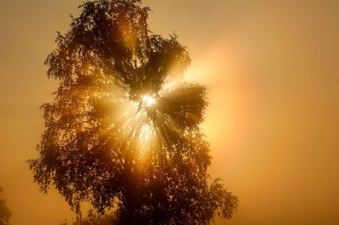 Hier wird es in Deutschland richtig heiß – Wetterdienst warnt vor Hitzewelle