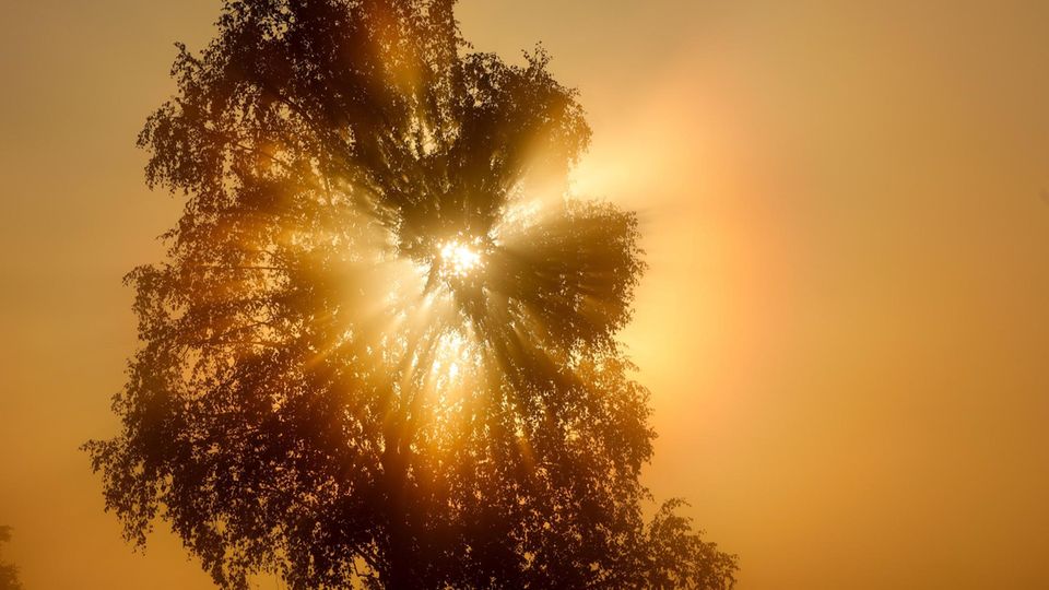 Hier wird es in Deutschland richtig heiß – Wetterdienst warnt vor Hitzewelle