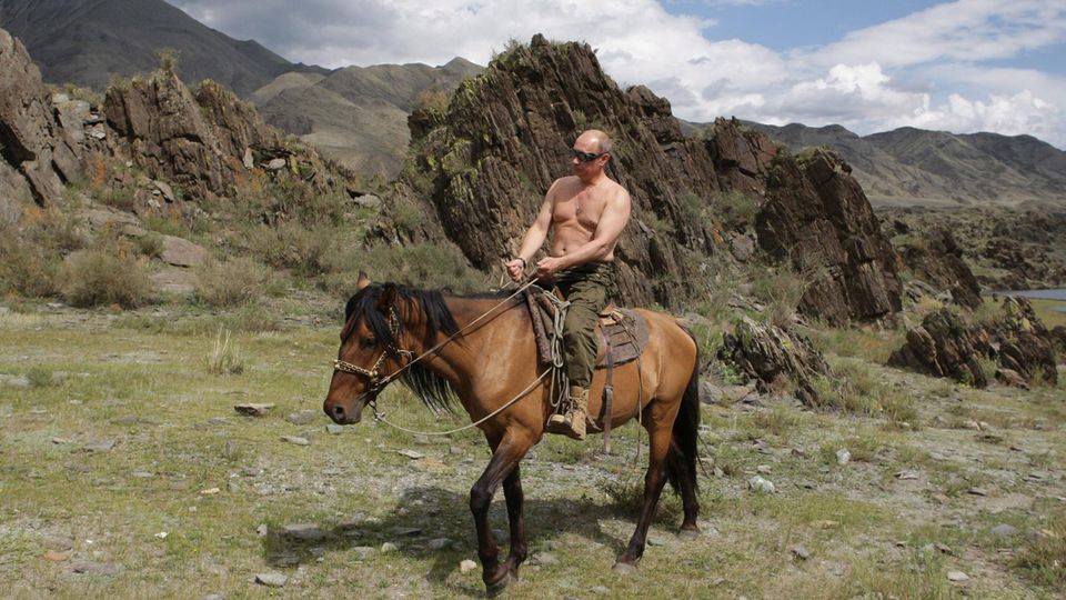 Wladimir Putin, oberkörperfrei auf einem Pferd Wladimir Putin, oberkörperfrei auf einem Pferd