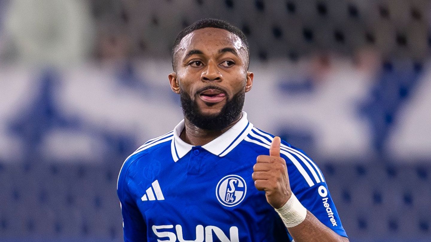 Football professional Sylla defends itself: dog “never exposed”