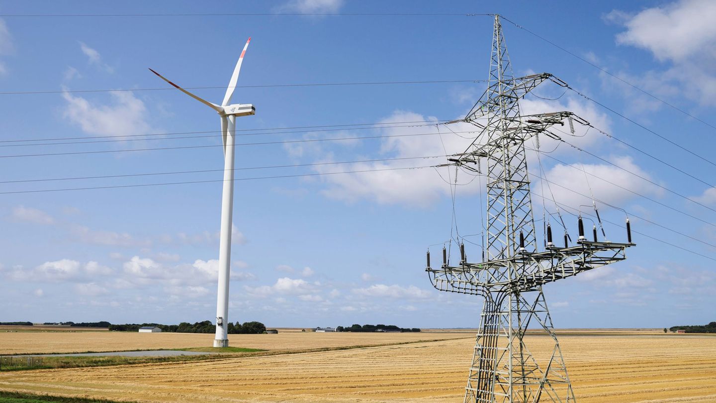 Energy: dispute over electricity reform: cheaper in the north than in the south?
